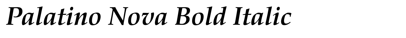 Palatino Nova Bold Italic image